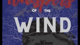 همسات الريح: الجمال البعيد الملتقط في الصور