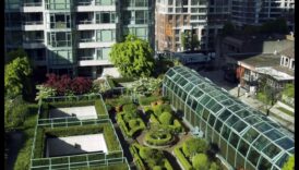 ملاذ شاهق: البستنة الحضرية المسرات فوق المدينة