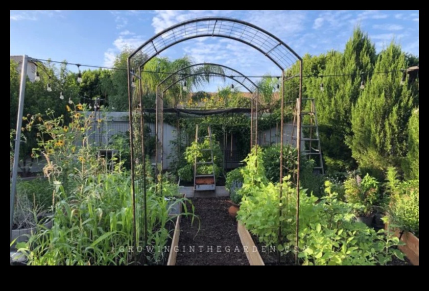 التسلق إلى المساحات الخضراء: إتقان البستنة العمودية