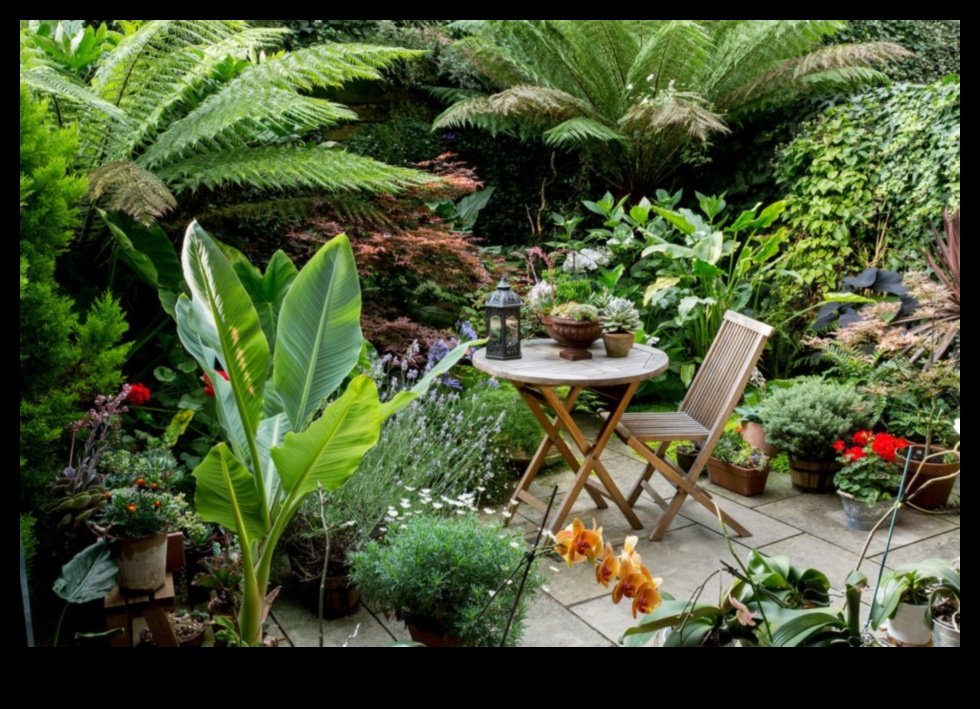 حدائق بحجم نصف لتر: البستنة الحضرية في مساحات صغيرة