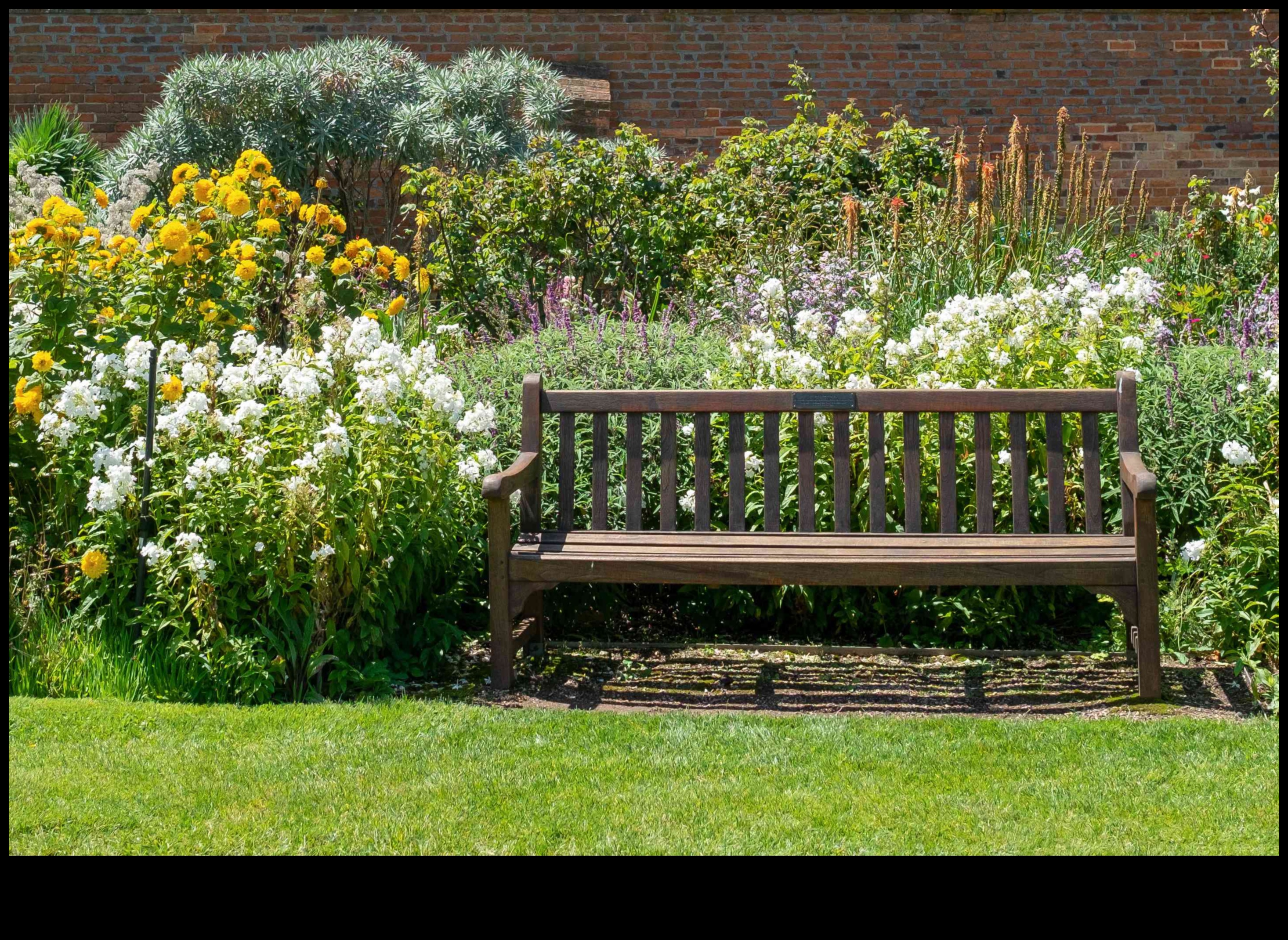 حدائق بحجم نصف لتر: البستنة الحضرية في مساحات صغيرة