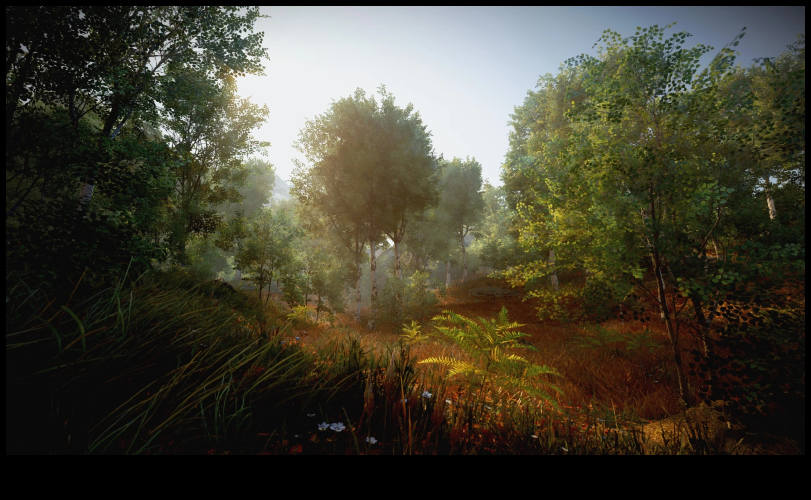 تحرير الجنة: إتقان فن السحر البصري من خلال التحرير الخبراء