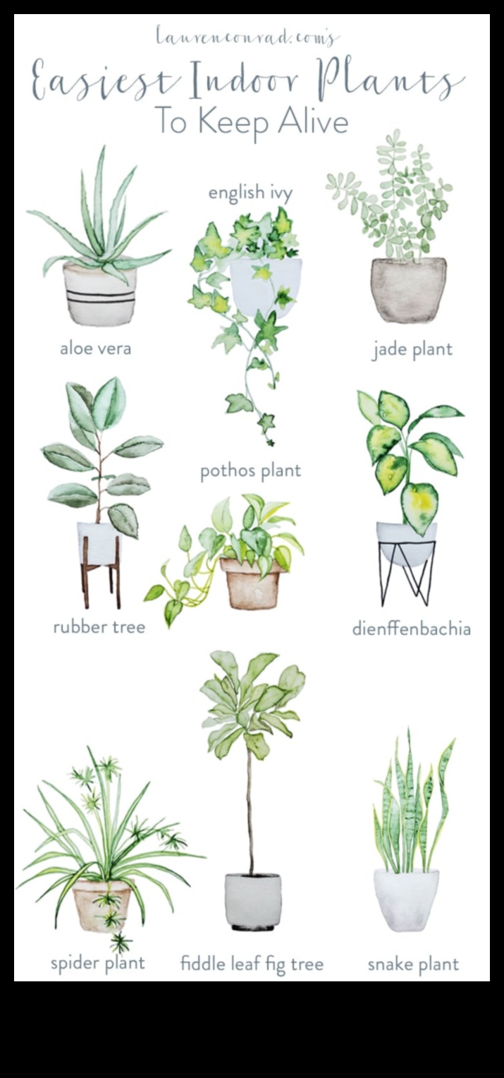 الإبهام الأخضر في الداخل: إطلاق العنان لسحر البستنة الداخلية