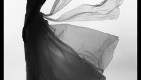 الصور الظلية الأنيقة: تحديد الأناقة في تصوير الأزياء