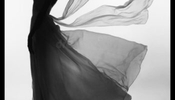 الصور الظلية الأنيقة: تحديد الأناقة في تصوير الأزياء