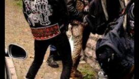 سمفونية تزامن الأسلوب: تنسيق الاتجاهات مع المهارة