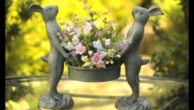 عجائب غريبة الأطوار: ارفع مساحتك باستخدام فن الحدائق