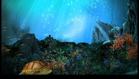 مغامرات مائية: عجائب تحت الماء في التصوير الفوتوغرافي