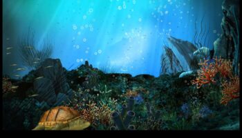 مغامرات مائية: عجائب تحت الماء في التصوير الفوتوغرافي