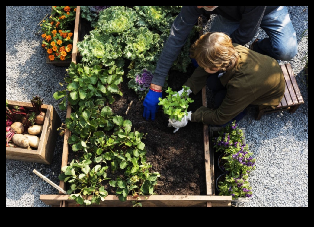 الحياة الخضراء، المساحات الصغيرة: رؤى البستنة الحاوية