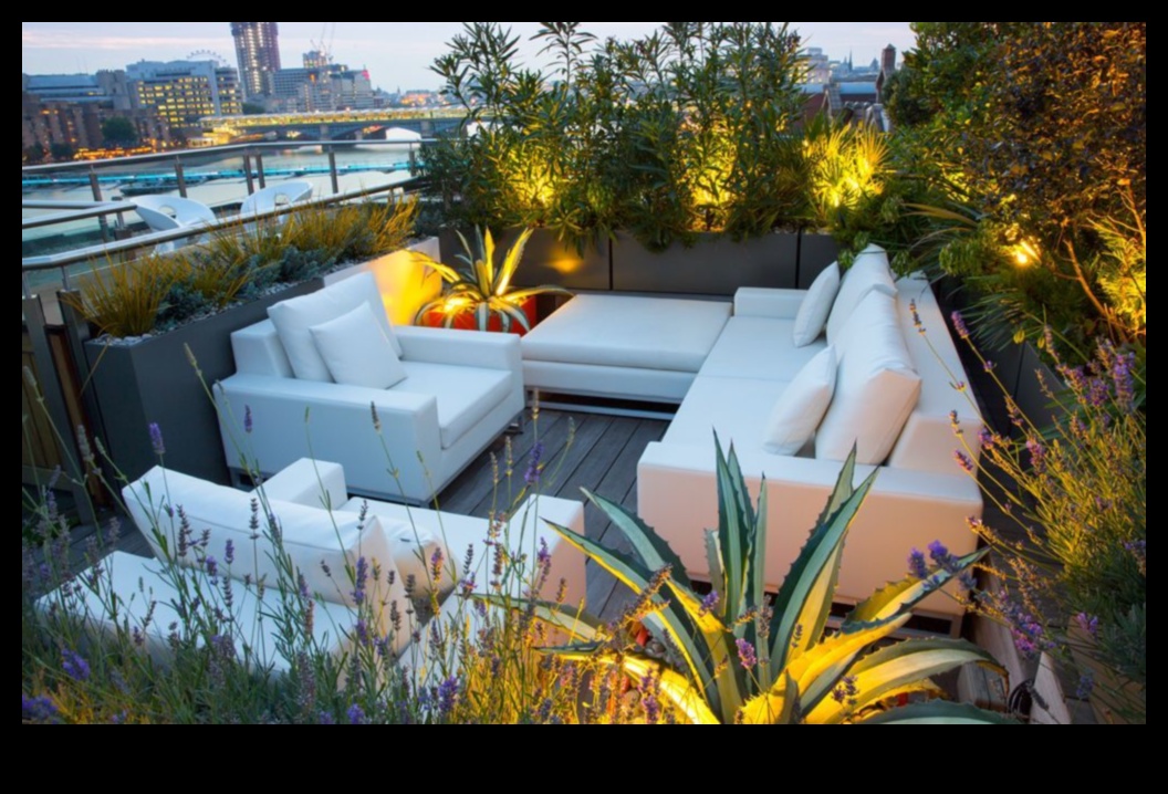 الأناقة الخارجية: تصميم الحدائق يفوق التوقعات