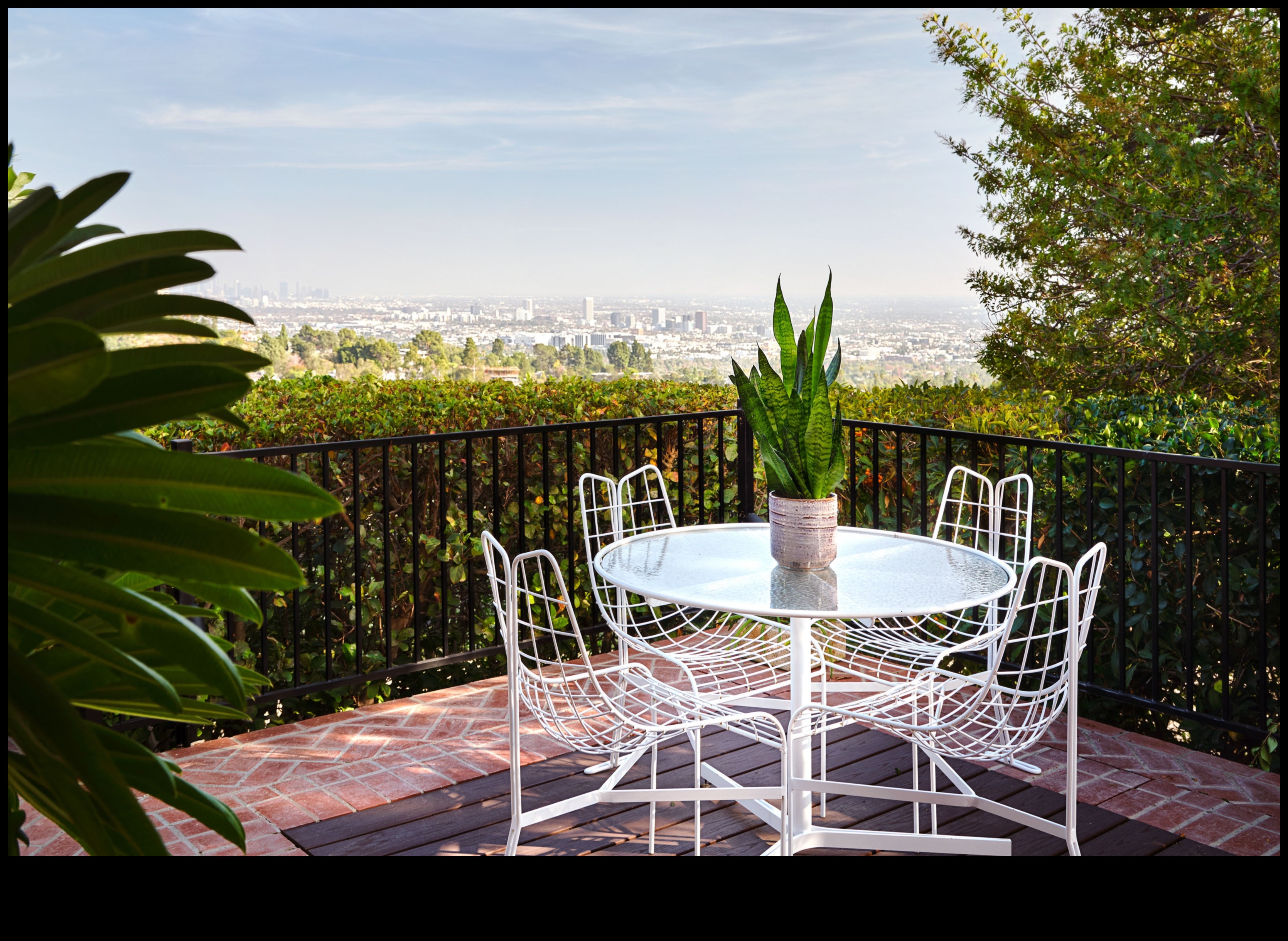 الأناقة الخارجية: تصميم الحدائق يفوق التوقعات