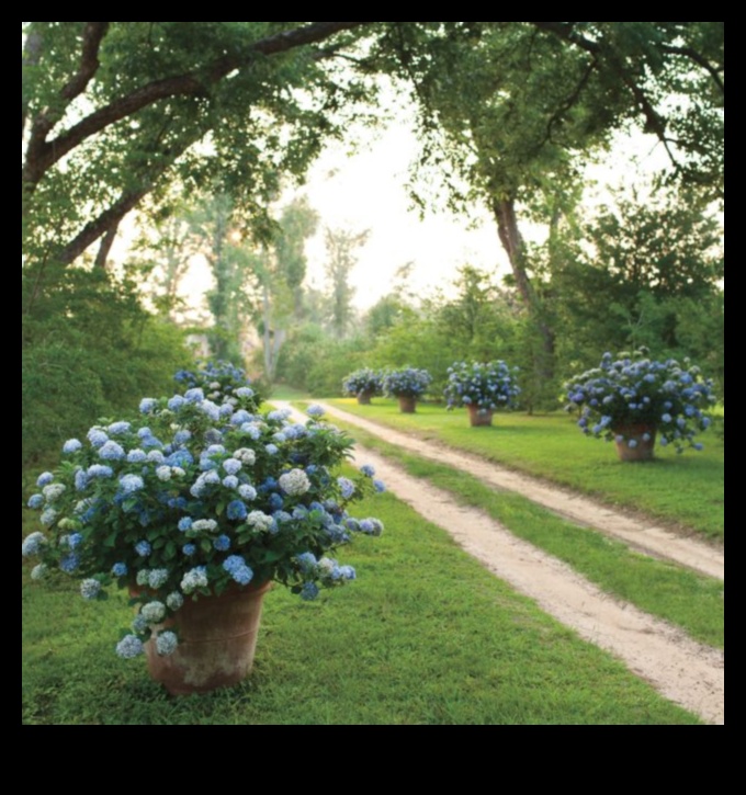 الأناقة الخارجية: تصميم الحدائق يفوق التوقعات