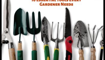 متجذرة في النجاح: تحديد أدوات الحدائق الأساسية