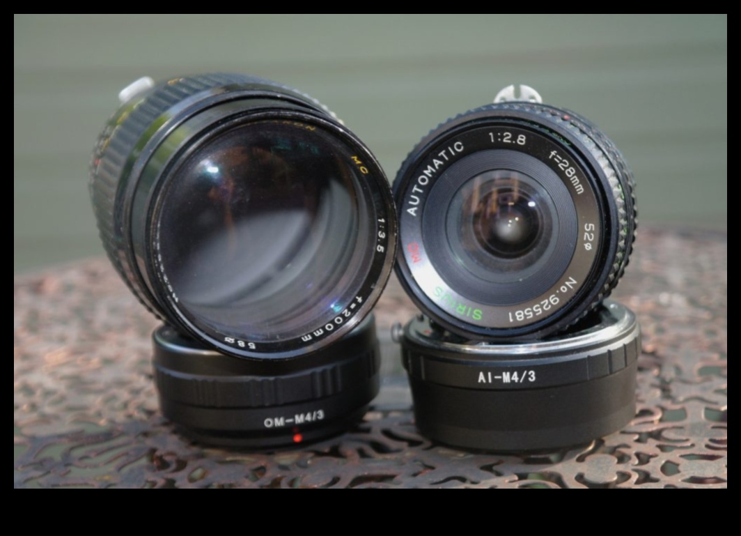 تراث العدسة: صياغة التميز من خلال تعليم التصوير الفوتوغرافي المتقدم