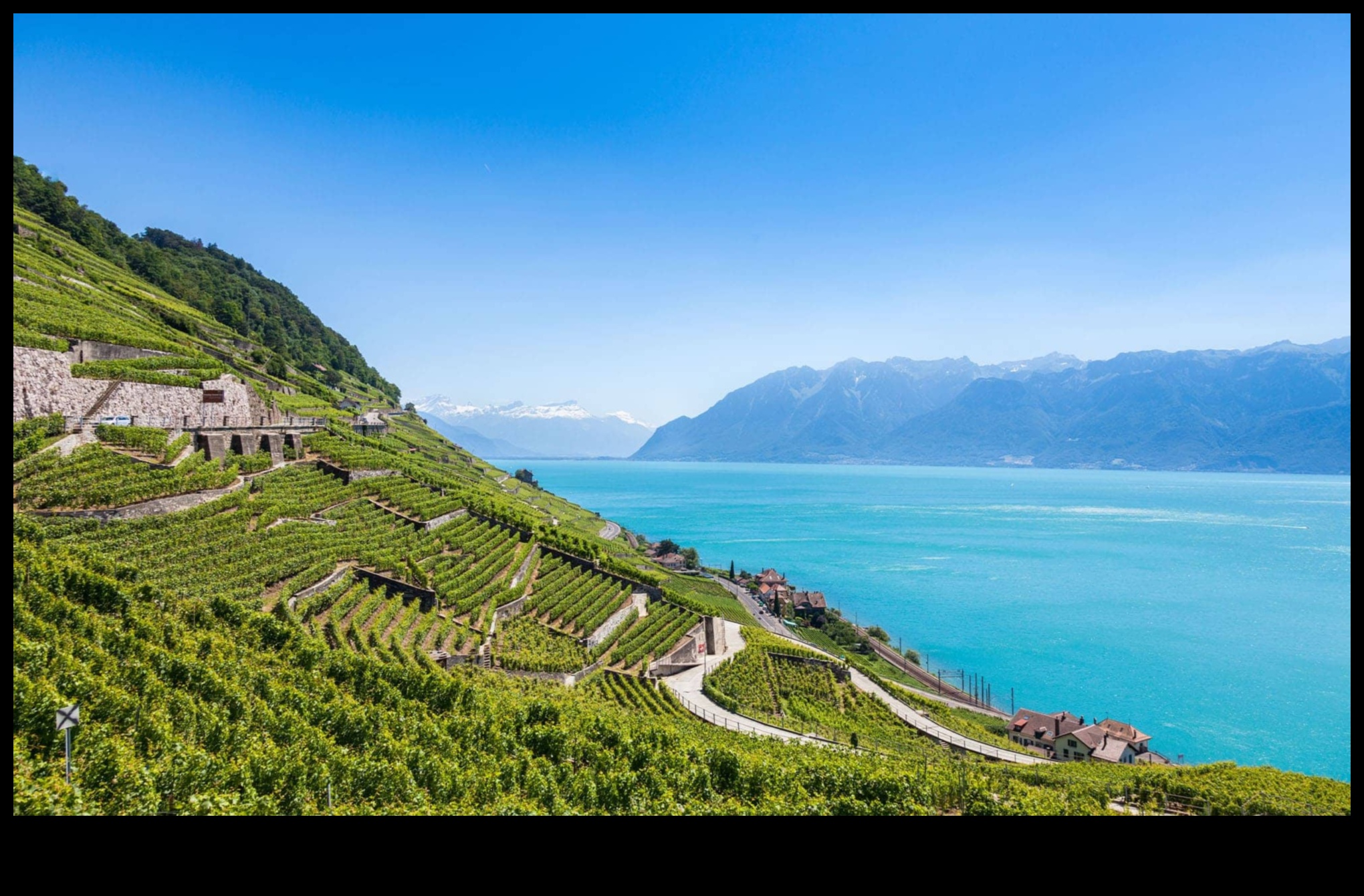 النكهة المحلية: الانغماس في الثقافات من خلال العدسة