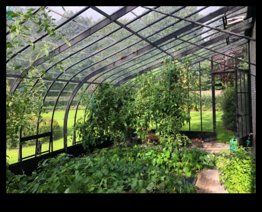 أناقة الحديقة: جمال الدفيئة في كل برعم